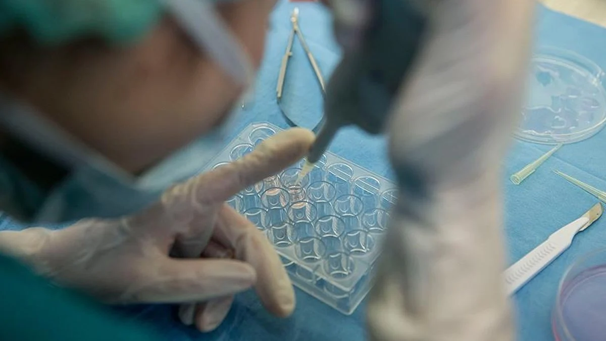 İnsanların çoğu gelecekte yüzyıllarca yaşayacak! Gençliğin formülü bulundu