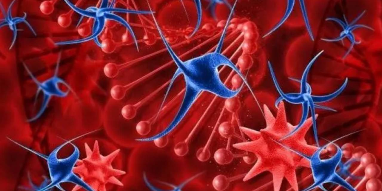 İltihaba Ne İyi Gelir? Evde İltihaba Bitkisel Çözüm!