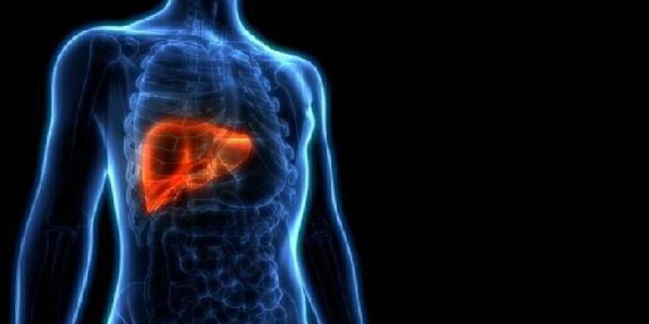 Kilolu Değilseniz Bile Karaciğeriniz Yağlı Olabilir! Uzmanlar Bilinçsiz Yapılan Diyetlere Dikkat Çekti