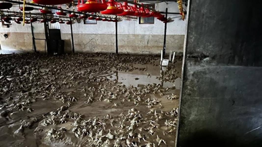 Zonguldak'ta kahreden manzara!