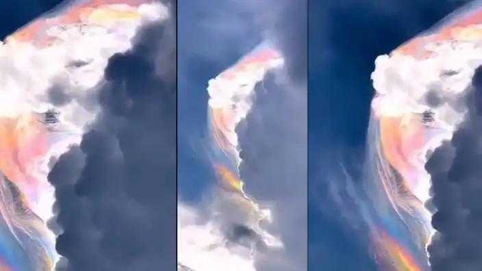 Herkes bu görüntüyü merak etti: Sırrı ortaya çıktı