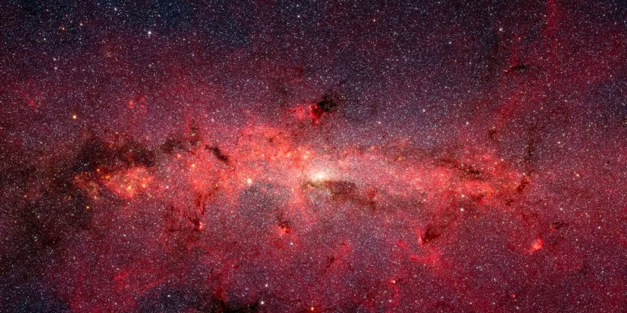 Çin 'uzaya' balık göndermeye hazırlanıyor!