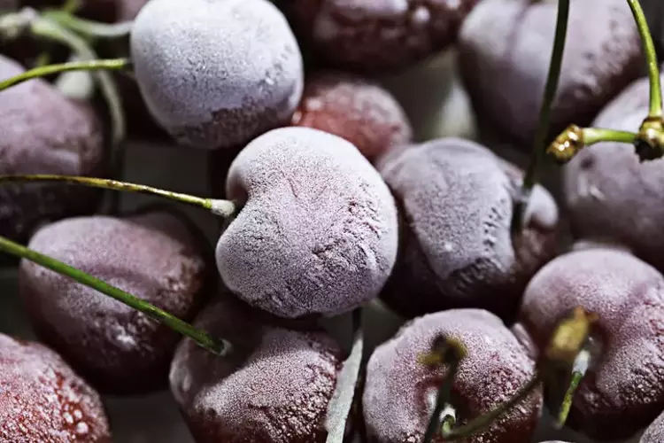Beyni gençleştiren kırmızı mucize...Yüksek tansiyon, kolesterol ve kansere iyi geliyor!