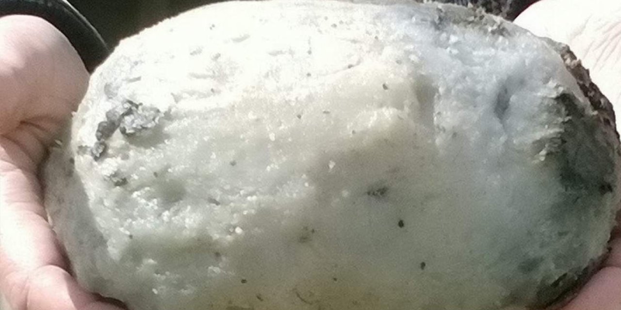 Karaya vuran balığın içinde buldu servete kondu! Değeri tam 14 milyon lira