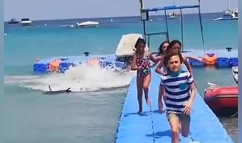 Korku dolu anlar kamerada!  köpek balığı, çocukların da olduğu plaja girdi