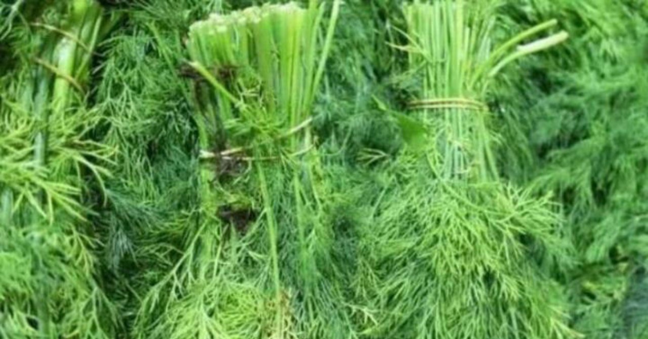 Tiroid nodüllerini bir bardakla küçültüyor