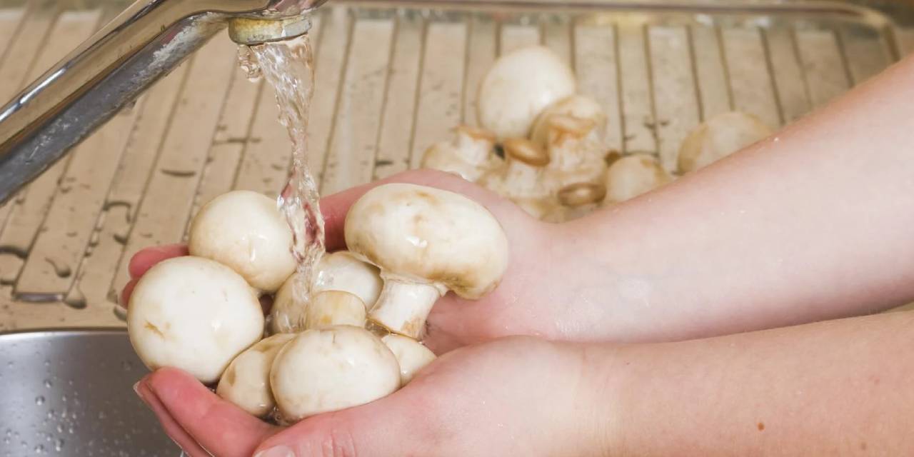 Yıllarca yanlış yapıyormuşuz! Mantarları bu şekilde yıkamak sağlığa zarar veriyor!