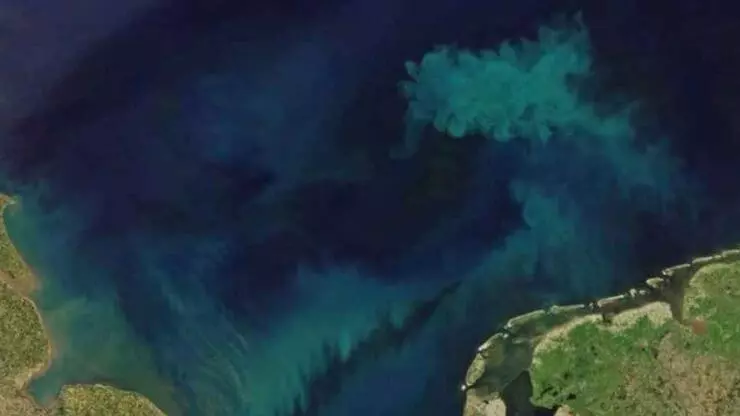 Tehlikeli işaretler:   Okyanuslar  renk değiştiriyor