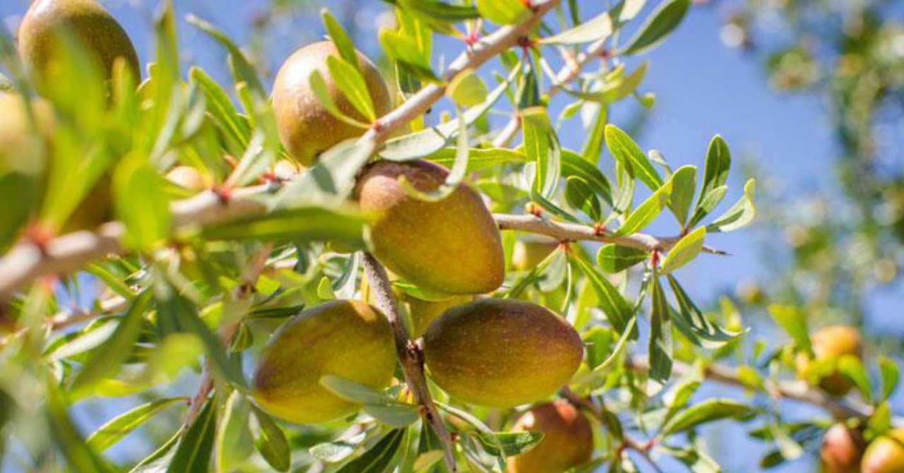 Test edildi onaylandı! Saç diplerindeki egzama ve kaşıntıyı tek damlada bitiren yöntem!