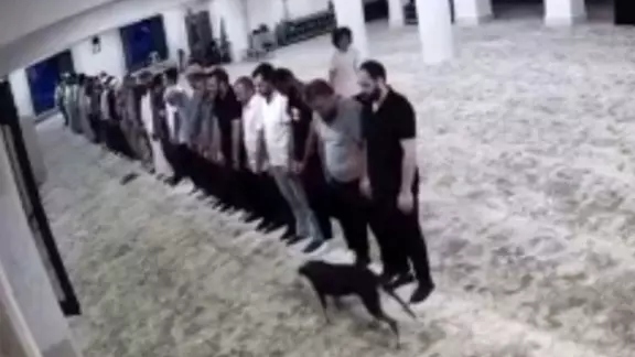 Camiye giren köpek ile cemaatin imtihanı kamerada!