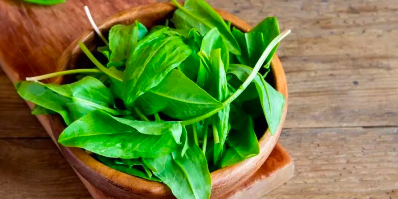 Tek bardakta vücut iltihabını söküp atıyor! Egzama ve sedef lekesini tamamen yok ediyor!