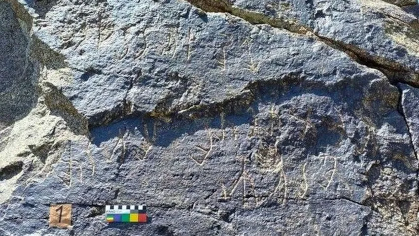 Esrarengiz antik metin 'Kuşan yazısı' keşfinden 70 yıl sonra deşifre edildi!  Şifresi çözüldü