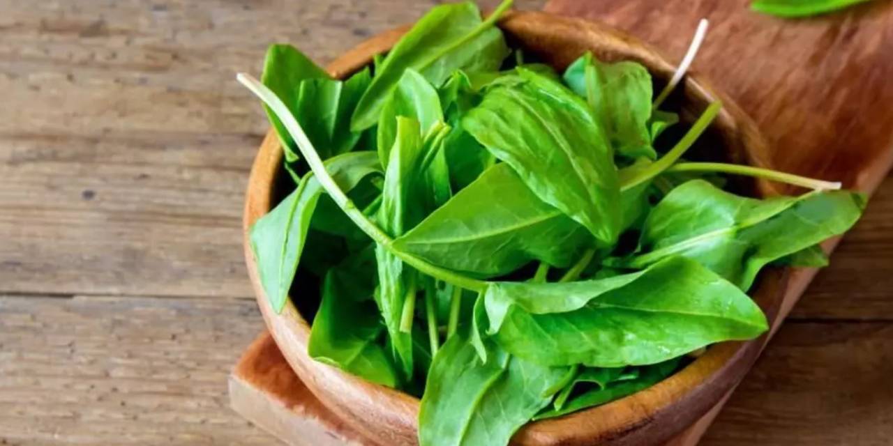 Faydaları saymakla bitmiyor! Doğadaki en güçlü mikrop öldürücü!