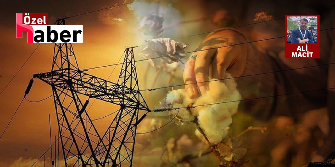 Mardin’de Elektrik Yok Pamuk Üreticileri Batma Noktasına Geldi
