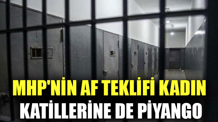 MHP'nin af teklifi kadın katillerine de piyango