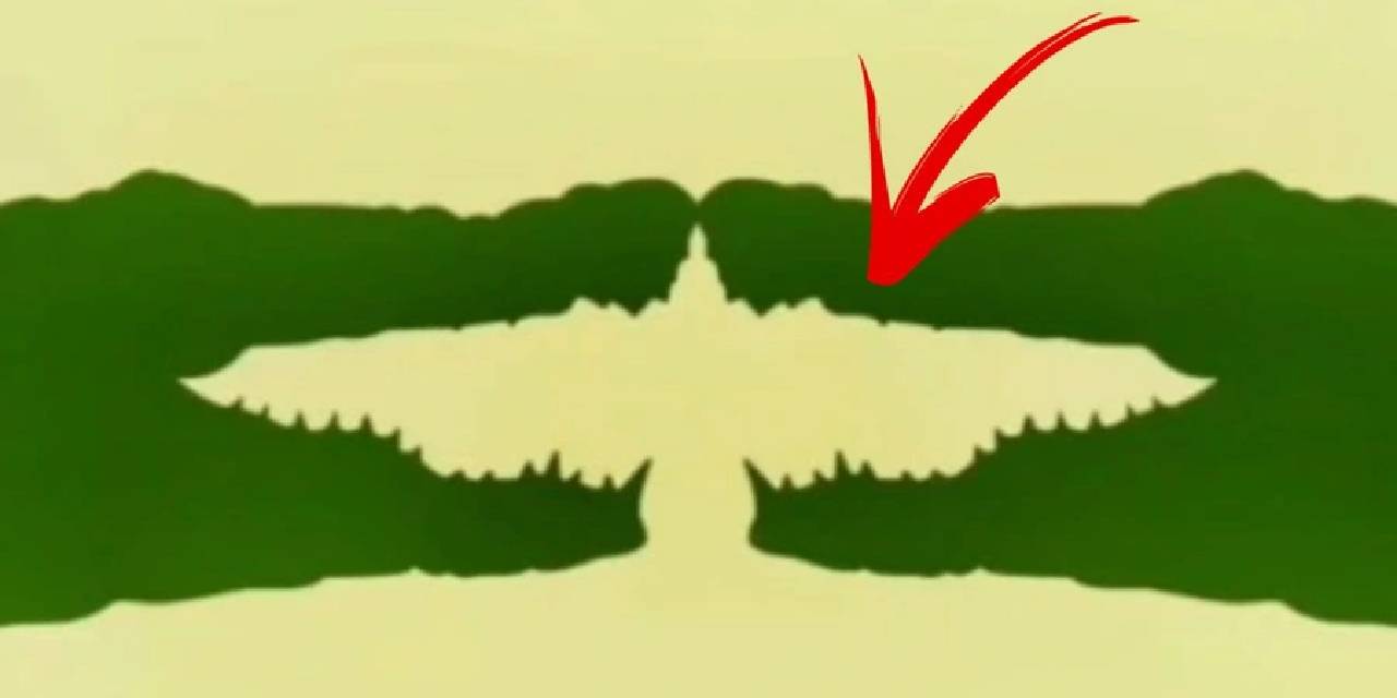 İlginç detay...Bu fotoğraf kişilik özelliklerinizi ele veriyor:Optik illüzyonda ne görüyorsun: Bir timsah mı yoksa bir kuş mu?