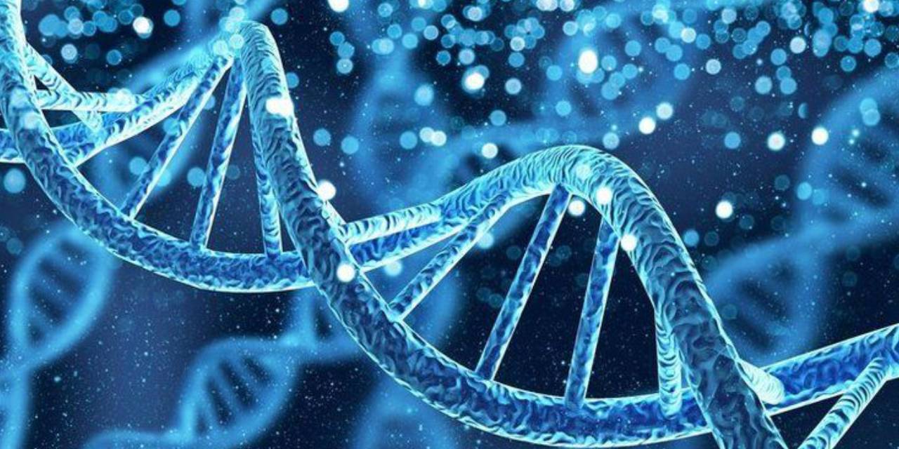 Esrarın İnsan DNA'sını Tamamen Değiştirdiği Ortaya Çıktı