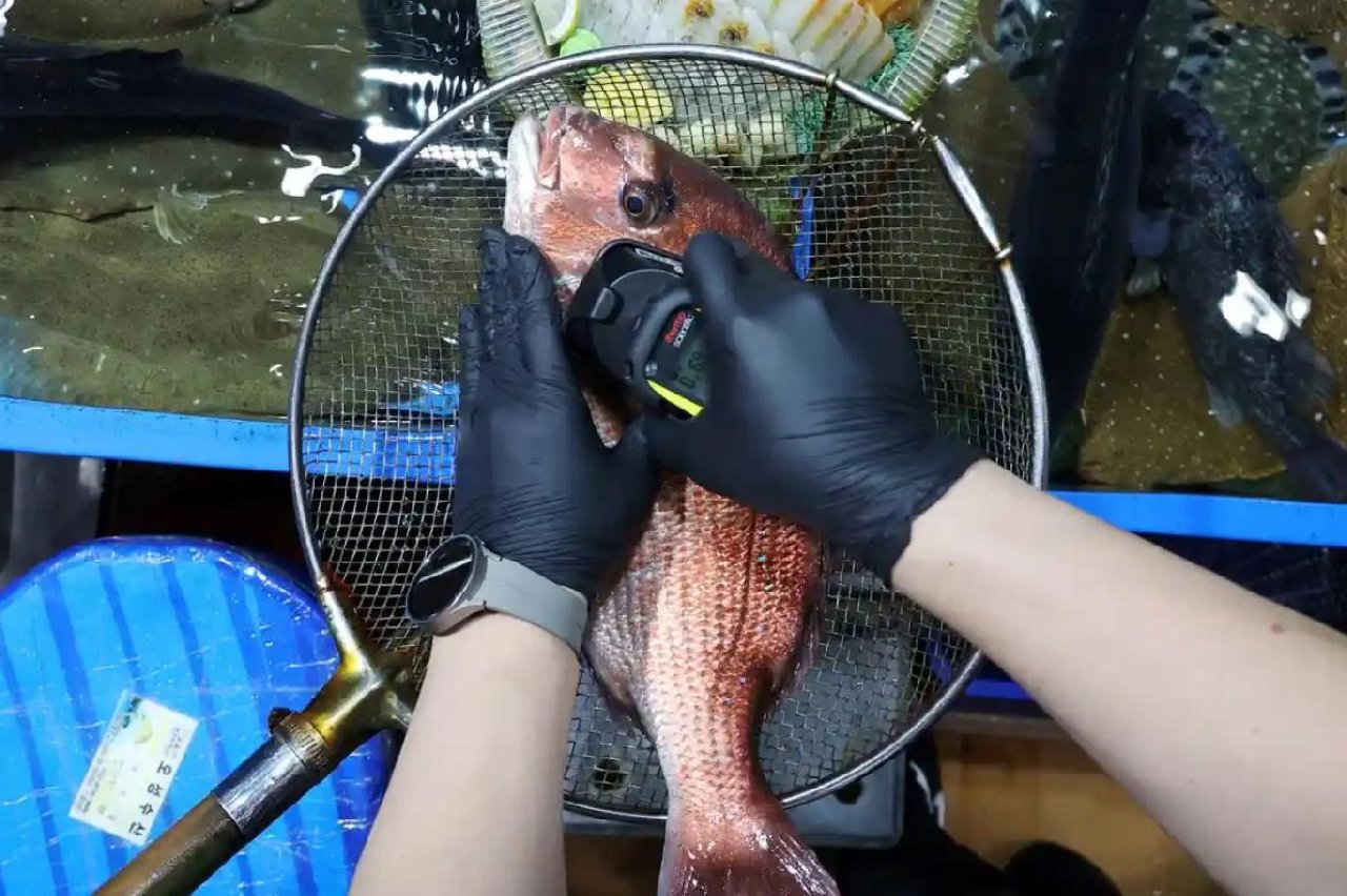 Fukuşima'da Radyoaktif Balık Yakalandı