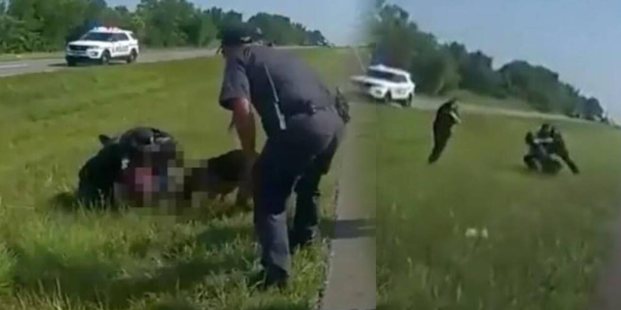 ABD Polisinden Skandal Müdahale! Şüpheliyi Köpeğe Yem Ettiler