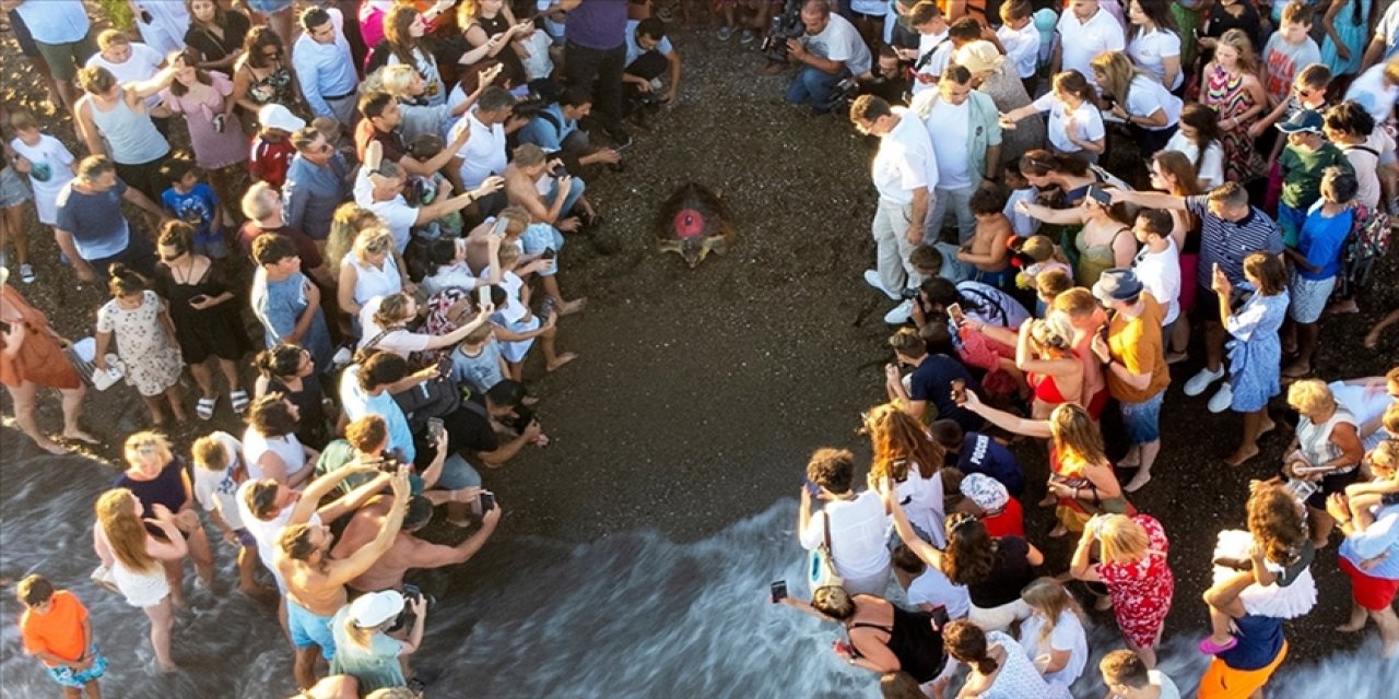 Denize bırakılan 'Lara' Bir Yılda 3 Bin Kilometre Katetti