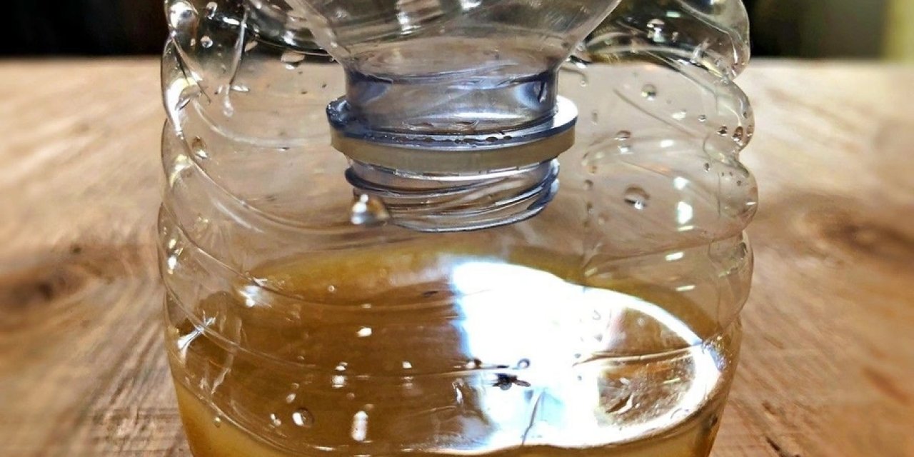 Sinekleri kapana kıstırmak bu yöntemle mümkün! Evde sinek derdine son...