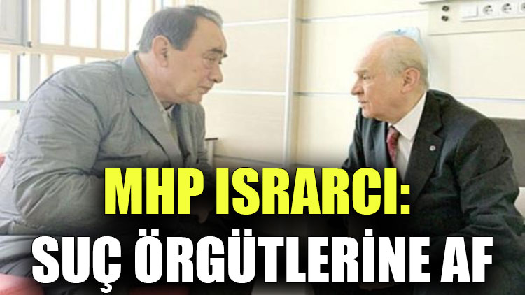 MHP ısrarcı: Suç örgütlerine af