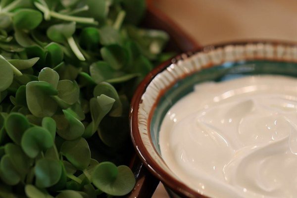 Yiyen Yaşlanmıyor! Genç Kalmayı Destekleyen 10 Süper Besin