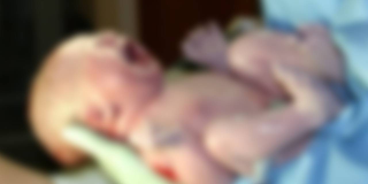 Yeni Doğan Bebeği, Yabani Kedi Kaçırırken Çatıdan Düşürdü: Bebek Kurtarılamadı