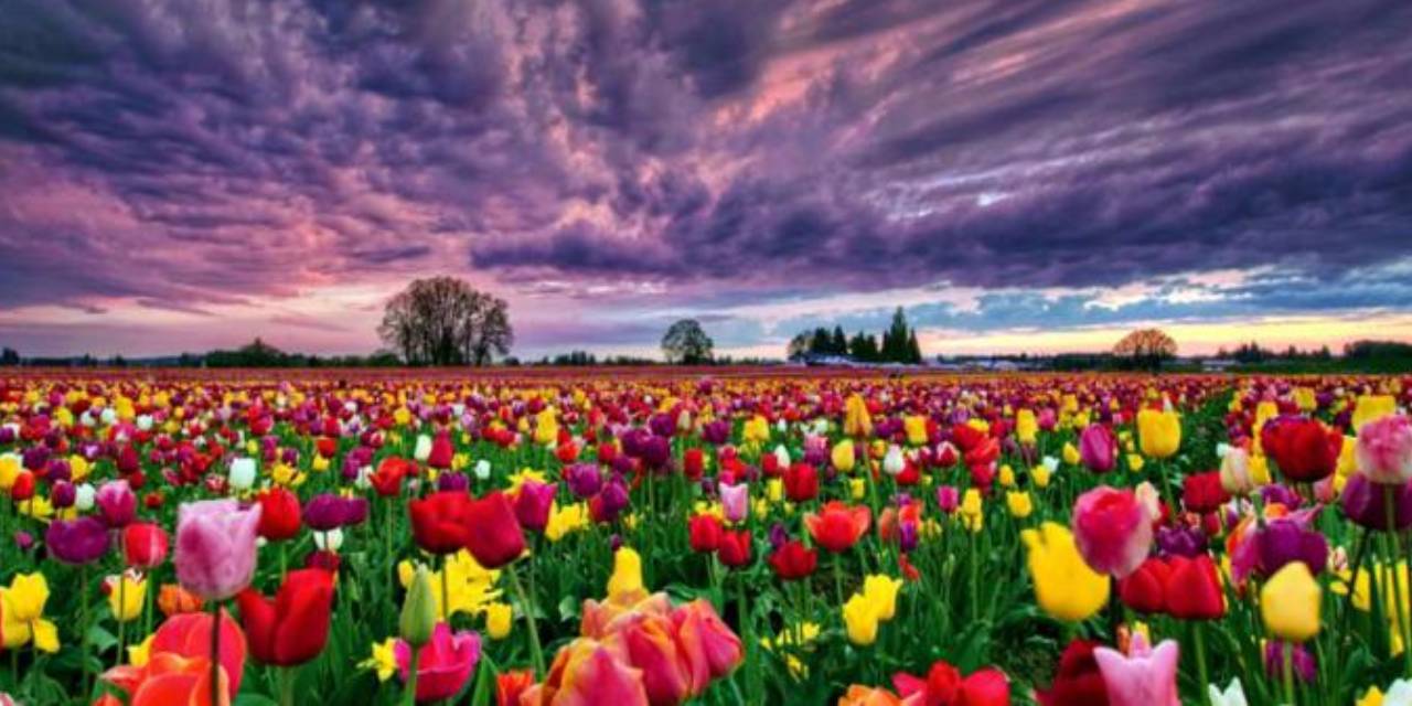 Ünlü Psikoterapist En Çok Arzulanan 9 Şeyi Sıraladı