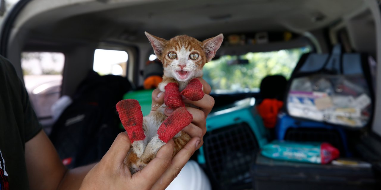 Yangında Ölümden Döndüler... Yaraları Böyle Sarılıyor