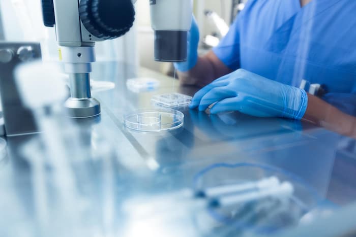 Ormanda 'dev' virüsler keşfedildi