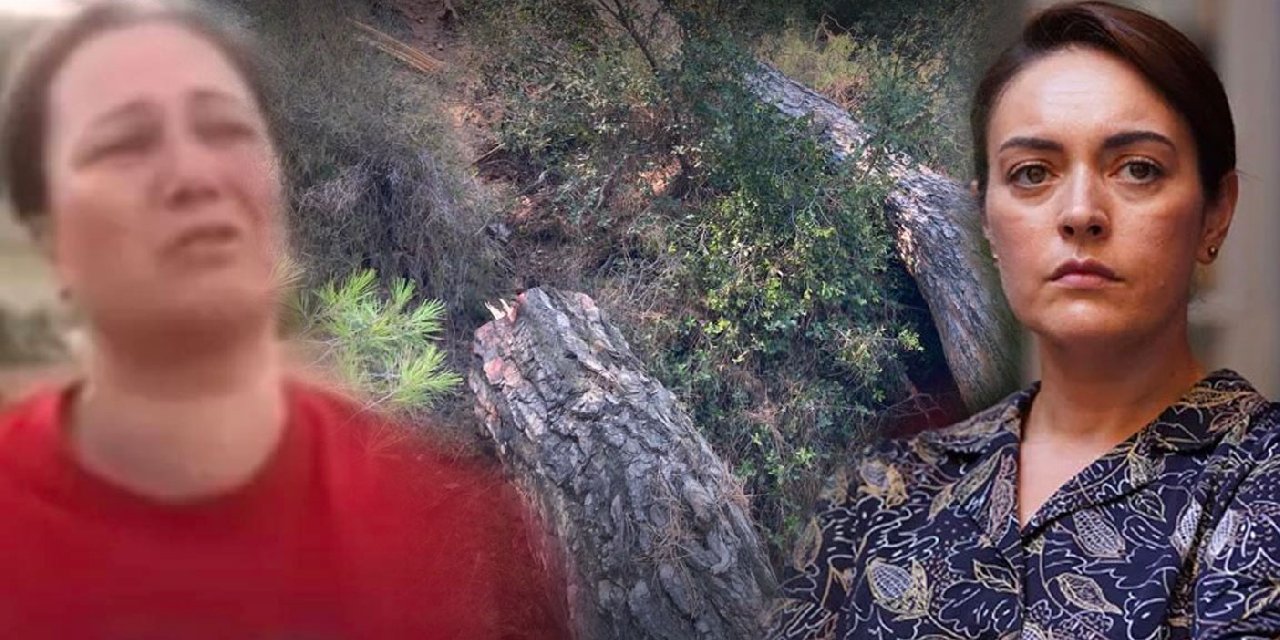 Ünlü Oyuncu Akbelen'de yaşananlara sitem etti: 'Burada politika yok' diyerek paylaştı