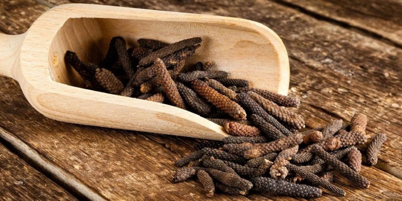 Bitki değil yürüyen eczane! Boyu küçük işlevi büyük...