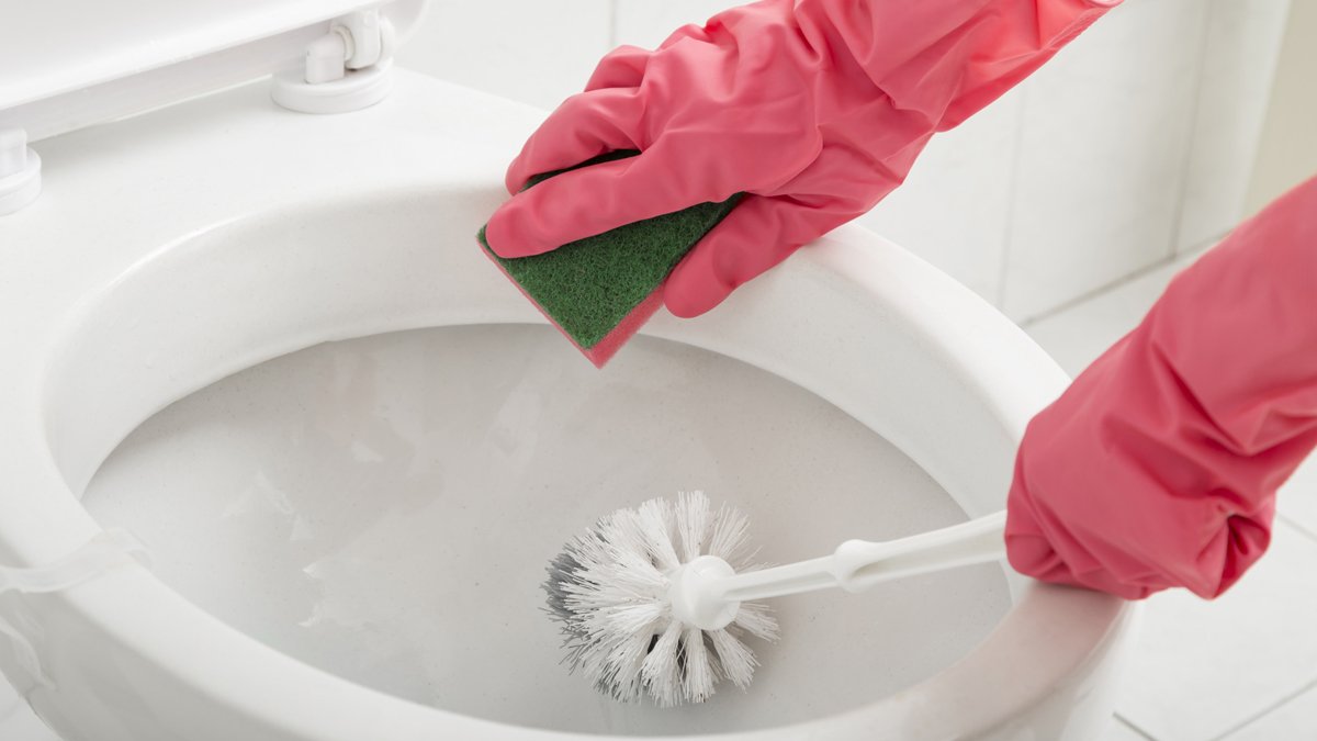 Herkes bu yöntemi konuşuyor! Geceleri tuvalete bir diş sarımsak koyun