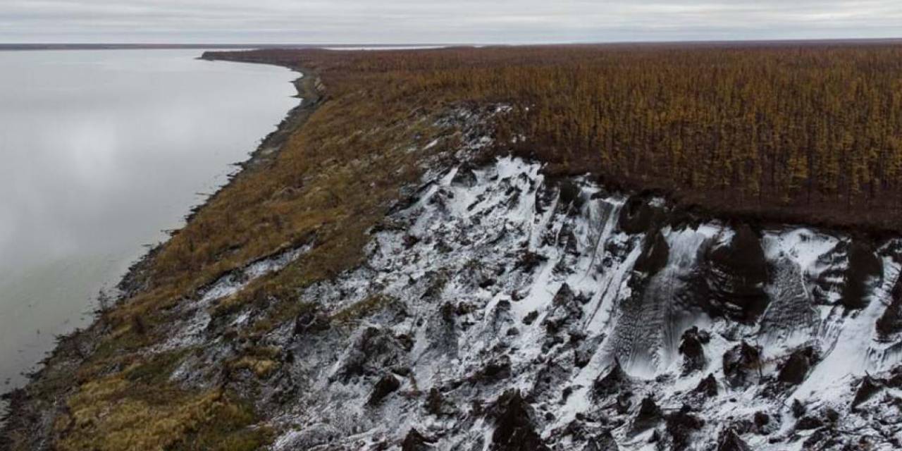 46 bin yıldır toprağa gömülüydü, hayata döndürüldü! Kayıtlara ilk kez geçti