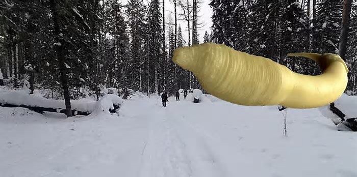 Kadim yaratık 46 bin yıl sonra yeniden canlandı! Dünyayı şaşkına çeviren gelişme