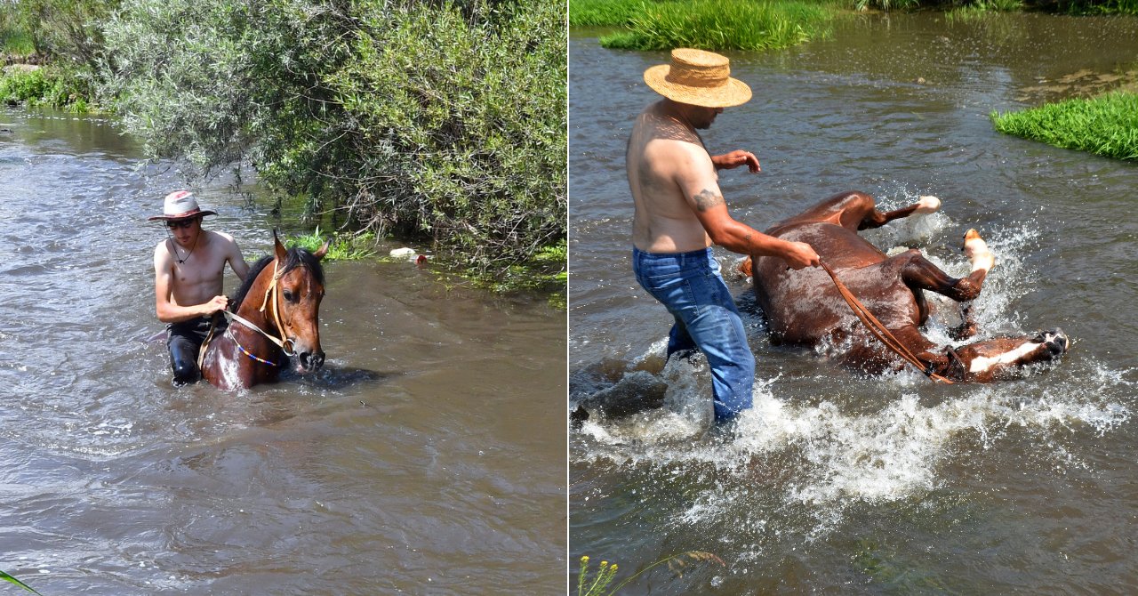 Kars'ta ilginç görüntüler! Sıcak havadan etkilenen atları serinlettiler