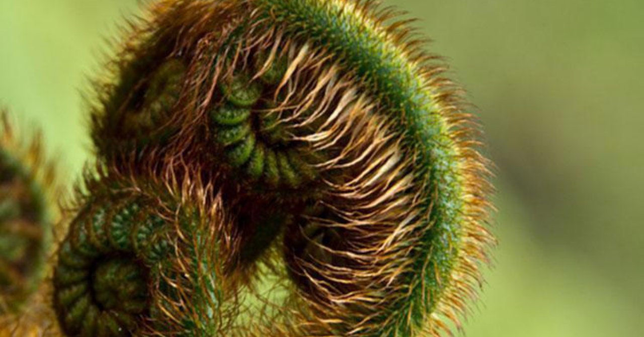 NASA'nın listesi: Evinizde varsa yaşadınız! Bu etkisini kimse bilmiyor...