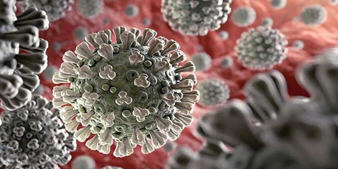 Dünyada tehlikeli bir norovirüs  yayılıyor: Antiseptikler etklili olmuyor