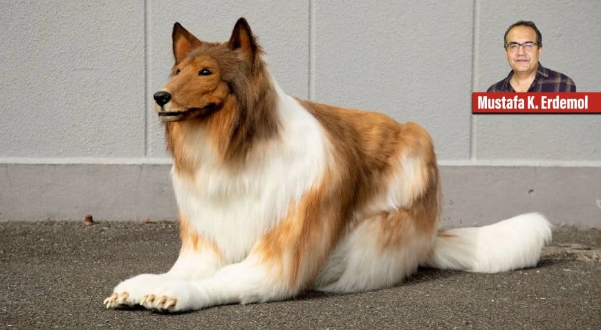 Tuhaf Bir Dönüşüm  Bir İnsan Neden Köpek Olur?