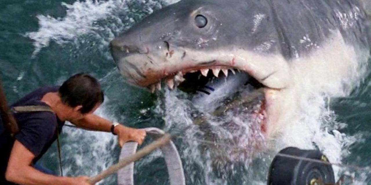 Ünlü yönetmen, Jaws'ta kullanılmasını yasakladığı rengi açıkladı