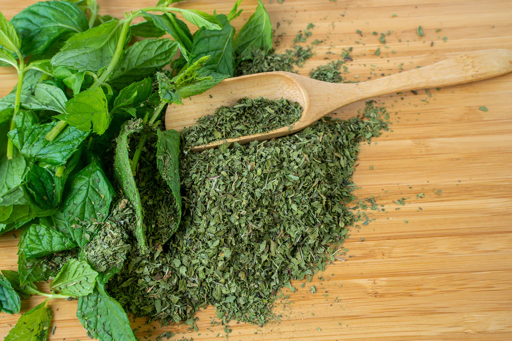 Güneş Yerine Gölgeyi Tercih Edin... Tüm Kış Yemyeşil Kalsın! Evde Nane Nasıl Kurutulur?