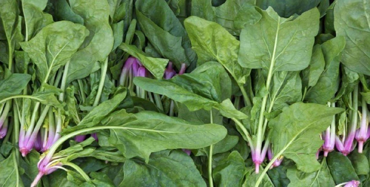 Bir kutu İlaca bedel mucize gibi sebze! Dünyanın en sağlıklı sebzesi seçildi