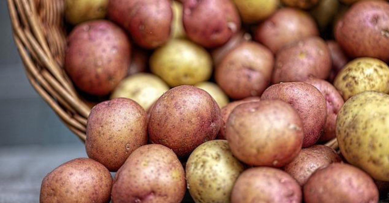 Zararlı diye yıllardır yemekten çekiniyorduk! Sadece ölüme çaresi yok! Meğer bin bir derde devaymış