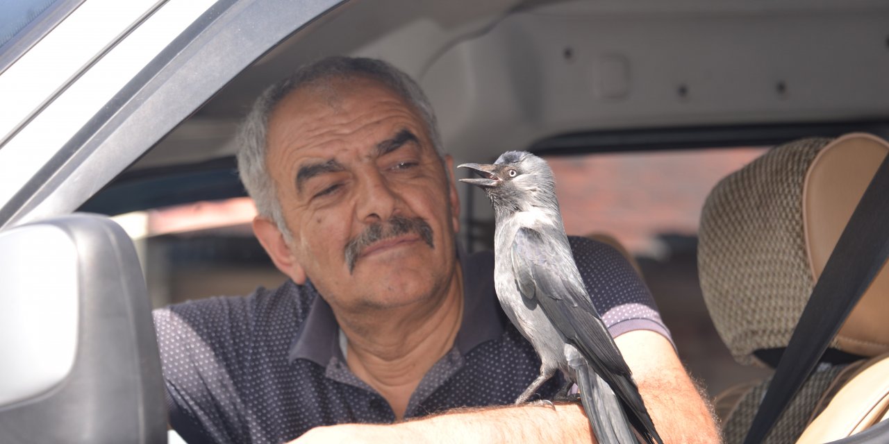 Karga Cingöz'le 4 Yıldır 'Dost'