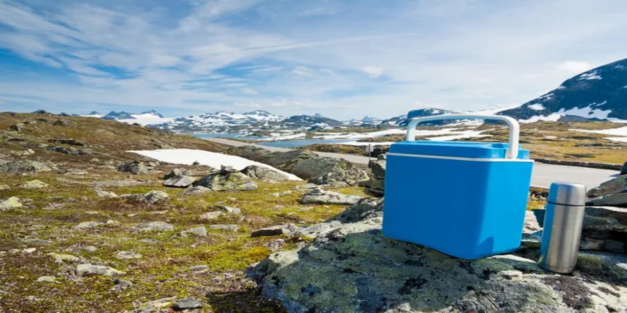 Yazın vücut ısısını düşüren 5 besin