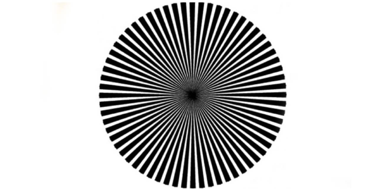 Dairenin İçinde Bu 2 Rengi Görenler Toplumun Genelinden Çok Farklı! Siyah ve Beyaz Dışında Ne Görüyorsunuz?