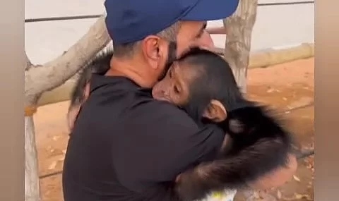 1 hafta ayrı kalan maymun ve bakıcısının buluşma anı viral oldu