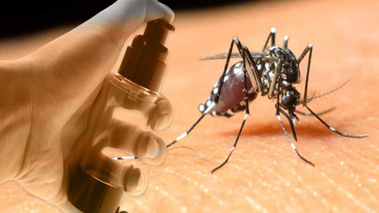 Test edildi onaylandı! Sivrisineklere kesin çözüm sosyal medya bununla çalkalanıyor deneyen herkes memnun