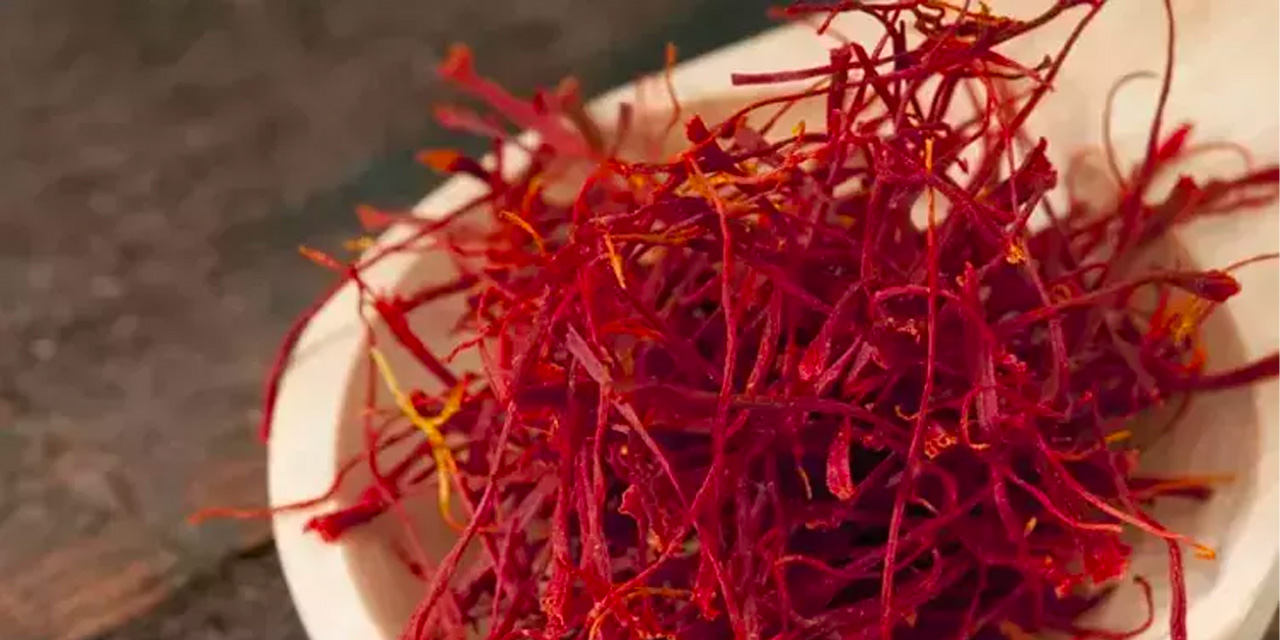 Saç diplerindeki yağlanmayı tek damlada bitiriyor! Kepek, egzama ve kaşıntıyı gideren doğal formül